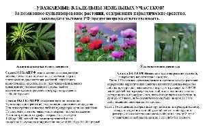 Ответственность, связанная с незаконным культивированием наркосодержащих растений, а также не принятие мер по их уничтожению