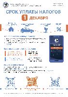 Срок уплаты налогов